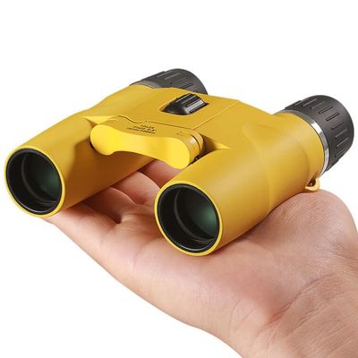QIYUDS 10x25 Binoculars,High Powered Compact Binoculars with Weak Light Night Vision Clear Binocular for Outdoor Sports Games and Concerts(Silver)