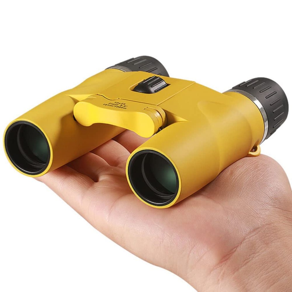 QIYUDS 10x25 Binoculars,High Powered Compact Binoculars with Weak Light Night Vision Clear Binocular for Outdoor Sports Games and Concerts(Silver)