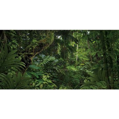YongFoto 12x6ft Forest Backdrop Tropical Jungle Rainforest Fairytale Deep Green Trees Enchanted Nature Photography Background Picnic Camping Party Adult Kids Boy Holiday Adventure Photo Studio Props