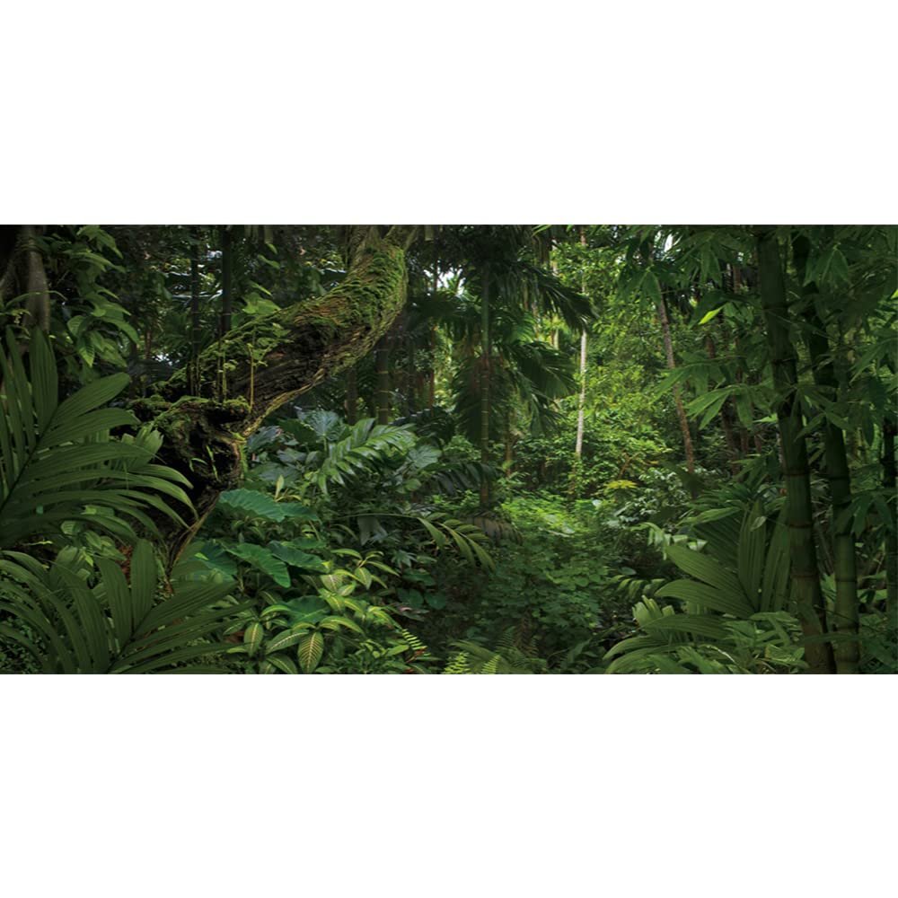 YongFoto 12x6ft Forest Backdrop Tropical Jungle Rainforest Fairytale Deep Green Trees Enchanted Nature Photography Background Picnic Camping Party Adult Kids Boy Holiday Adventure Photo Studio Props