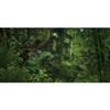 YongFoto 12x6ft Forest Backdrop Tropical Jungle Rainforest Fairytale Deep Green Trees Enchanted Nature Photography Background Picnic Camping Party Adult Kids Boy Holiday Adventure Photo Studio Props view 1