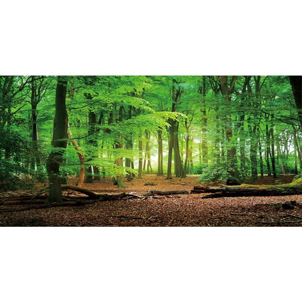YongFoto 15x8ft Spring Forest Backdrop Green Tree Jungle Sunlight Sunrise Nature Landscape Photography Background Children Family Camping Theme Birthday Party Baby Shower Portrait Photo Studio Props