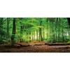 YongFoto 15x8ft Spring Forest Backdrop Green Tree Jungle Sunlight Sunrise Nature Landscape Photography Background Children Family Camping Theme Birthday Party Baby Shower Portrait Photo Studio Props view 1