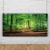YongFoto 15x8ft Spring Forest Backdrop Green Tree Jungle Sunlight Sunrise Nature Landscape Photography Background Children Family Camping Theme Birthday Party Baby Shower Portrait Photo Studio Props view 3