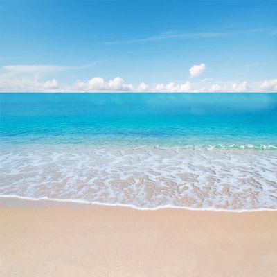 BELECO Tropical Beach Ocean Waves Backdrop 10x6.5ft Fabric Seaside Scenery Sand Beach Backdrop Luau Party Hawaiian Theme Photography Background Birthday Party Decor Wedding Photoshoot Studio Props