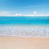 BELECO Tropical Beach Ocean Waves Backdrop 10x6.5ft Fabric Seaside Scenery Sand Beach Backdrop Luau Party Hawaiian Theme Photography Background Birthday Party Decor Wedding Photoshoot Studio Props view 1