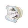 003-005237-01 Compatible Bare Projector lamp Bulb Without Housing for Christie D12HD-H/D12WU-HX/D12WU-HS 465W view 1