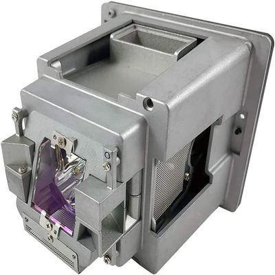 003-004808-01 Replacement Projector Lamp Bulb with Housing
