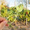 100pcs Leaf-shaped Nylon Ties for Multi-purpose Zip Ties for Home and Garden and Easy to Use Plant Support and Cord Wraps view 2
