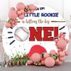 Laeacco 6.5x6.5ft Baseball 1st Birthday Round Backdrop Batter Up Our Little Rookie is Hitting The Big One Circle Backdrop Newborn Baby Boy Girl One Year Old Birthday Arch Background Party Decoration view 4
