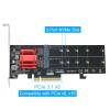 RIITOP Dual NVMe PCIe Adapter + Dual NVME Cloner Docking Station view 3