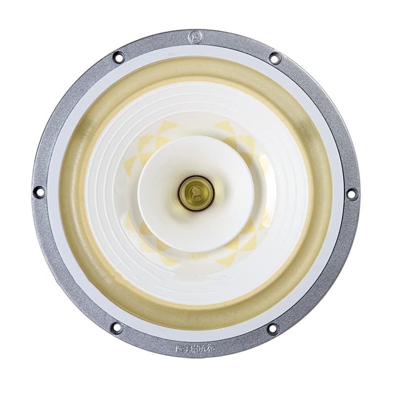 AVPLAY LII Audio HiFi Speakers 10 Inch Full Range Speaker Y40 Aerospace Magnet Loudspeaker crystal-10 HI-END 8 Ohm 1PCS (1 pcs)