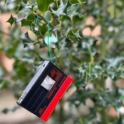 Limited Edition Sony MiniDV Tape Ornament + $5 digitization Credit for Video Tape, 8mm Film, or Photo Transfer