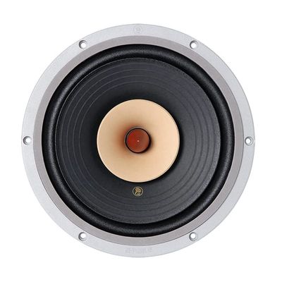AVPLAY LII Audio HiFi FAST-10 Full Frequency Speaker 10 Inch 8ohm/40-60W Unit (1PCS) (1 pcs)