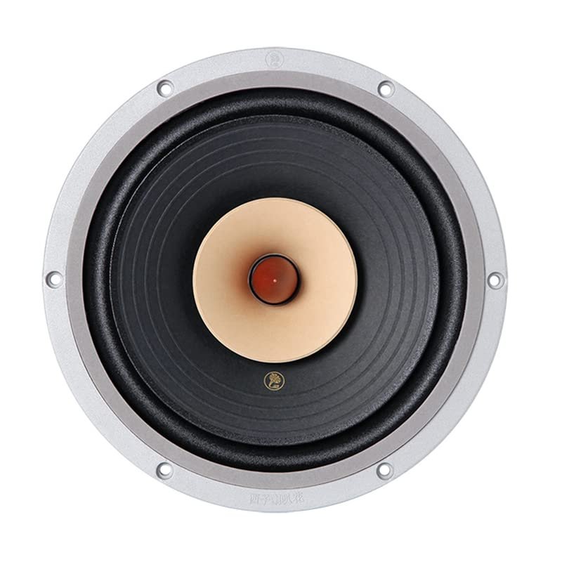 AVPLAY LII Audio HiFi FAST-10 Full Frequency Speaker 10 Inch 8ohm/40-60W Unit (1PCS) (1 pcs)