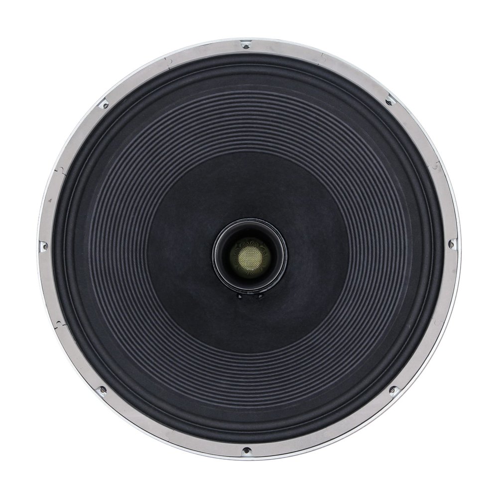 AVPLAY LII Audio 21 inch coaxial Speaker New H2102 Point Sound Source 8Ohm Speaker 1PCS (1 pcs)