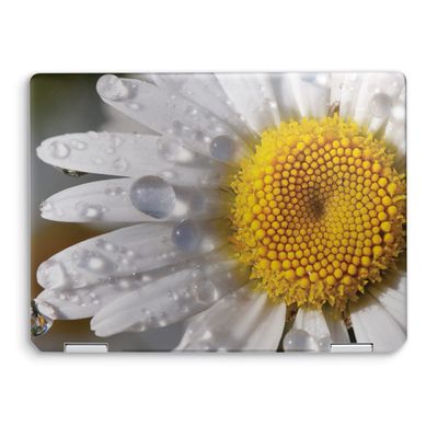 MightySkins Skin Compatible with HP Spectre x360 14" (2022) Full Wrap Kit - Daisy | Protective, Durable, and Unique Vinyl Decal wrap Cover | Easy to Apply | Made in The USA