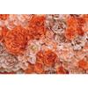 Baocicco 10x8ft Orange Rose Backdrop for Party Rose Gold Rose Floral Paper Flower Wall Photography Background Happy Mother's Day Birthday Bridal Shower Decorations Photographer YouTube Studio Props view 1