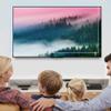 JQZWXX 55/58/60/65/70/75 Inch Anti Glare TV Screen Protector, Blue Light Filter Protection Eyes Anti Scratch Dust-Proof Matte Film for Samsung/Hisense/Lg/Sony, Etc / 58in1269x721mm view 2