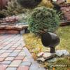 Furrion Aurora 3" Terrace Series Outdoor Landscape Speakers for Patios, Decks and Gardens 2022323830 view 4