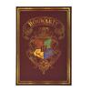 Blue Sky Studios Harry Potter bloc-notes A5 Red Colourful Crest (carton de 6) view 1