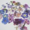 135pcs Flowers Stickers, Lifany Vinyl Waterproof Cute Flowers Stickers for Laptop, Phone, Luggage, Computer, Scrapbooking, Floral Stickers for Kids Teens Girls-3 Boxes view 3