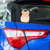 Cute Hamster Middle Finger Sticker - Gag Gift Novelty Funny Decal for Laptop Phones Cars Bumper (3" x 2.2") view 3