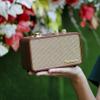 TRENBADER Vintage Bluetooth Speaker with AM/FM Radio, 10W Rich Bass & 10H Playtime, Portable Wireless Retro Radio with Wood Frame, Rotary Tuning Dial & Interchangeable Panel, Portable Home Radio(Wood) view 4