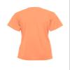 Badger Sports Tri-Blend Ladies' V-Neck Tee - S - PH view 3