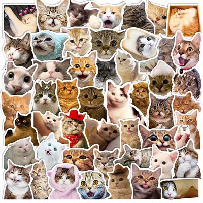 100 Pcs Cute Cat Stickers for Kids, Waterproof for Kids,Vinyl for Water Bottle,Laptop,Phone,Skateboard Stickers for KidsTeens Girls and Boys
