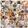 100 Pcs Cute Cat Stickers for Kids, Waterproof for Kids,Vinyl for Water Bottle,Laptop,Phone,Skateboard Stickers for KidsTeens Girls and Boys view 1