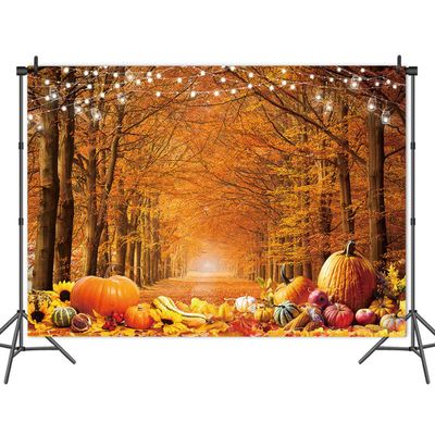MAQTT 7X5FT Autumn Thanksgiving Photography Background Forest Autumn Harvest Pumpkin Baby Bathing Children's Birthday Party Backdrop Banner Props Photo