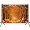 MAQTT 7X5FT Autumn Thanksgiving Photography Background Forest Autumn Harvest Pumpkin Baby Bathing Children's Birthday Party Backdrop Banner Props Photo view 1