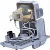 RANETLIO Original OEM UHP Replacement Lamp Bulb with Housing for Christie D12HD-H D12WU-H 003-005237-01 Projector Lamp Module view 2