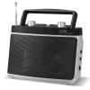Audiocrazy Portable AM FM Bluetooth Radio with 5W True Stereo Sound, Portable Radio with Dual Speaker | AUX Input | Headphone Jack | AC & Battery Powered  Perfect for Home, Kitchen, Outdoors (Silver) view 1