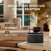 Audiocrazy Portable AM FM Bluetooth Radio with 5W True Stereo Sound, Portable Radio with Dual Speaker | AUX Input | Headphone Jack | AC & Battery Powered  Perfect for Home, Kitchen, Outdoors (Silver) view 2