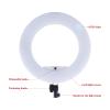 18inch Ring Light FE480, 96w Video Light for Photo Studio Beauty Salon Makeup, Bi-Color, with Tripod Remote Control (White) view 3