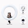 18inch Ring Light FE480, 96w Video Light for Photo Studio Beauty Salon Makeup, Bi-Color, with Tripod Remote Control (White) view 4