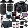 Canon EOS Rebel T100/4000D DSLR Camera w EF-S 18-55mm F/3.5-5.6 Zoom Lens EF 75-300mm III Lens+case+128Memory Cards (24PC) (Renewed) view 1