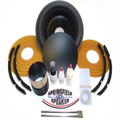 Alpine 10" Recone Kit + Install Kit - Dual 4 Ohm - Compatible with Alpine SWR 10D4 Subwoofer