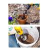 POWER PLANTER 12 in. Steel Bulb Auger Drill Bit view 4
