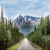 BELECO 8x6ft Fabric Snow-Capped Mountains Railroad Track Backdrop Alaska Wilderness Road Pine Trees Forest Snow Mountains Nature Landscape Background Wallpaper Photo Booth Studio Props view 1
