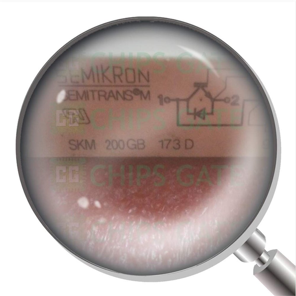 SKM200GB173D 1Pcs New SKM200GB173D Igbt Module