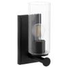 Quorum Lighting 540-1-59 Juniper Wall Mount, 1-Light 100 Watts, Matte Black view 1