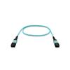 Nippon Labs MPO 50/125 OM4 Multimode 12 Fibers Trunk Optic Cable Type B (1m) view 3