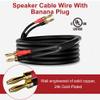 HiFind Speaker Cable Wire 40 Ft with Gold-Plated Banana Tip Plugs-UL CL3 Rated-Indoor&Outdoor&in Wall-Flexible-16 AWG Gauge Tinned Copper for Bi-Wire Bi-Amp HiFi Surround Sound-Black view 2