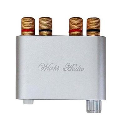 ZK-1002D 100Wx2 5.0 Audio Amplifier Board Module 2.0 Dual Channel Stereo (Silver)