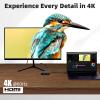 RVP+ USB C Docking Station Dual Monitor, 6-in-1, 100W Laptop-Charging, DisplayPort Multi-Stream Transport (MST), Ethernet, Compatible with Thunderbolt 3 Laptop (RVP-601) view 3