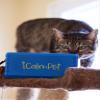 Cat Lovers Deluxe | iCalmPet Ruff 'n Ready Portable Speaker with 5-hrs Cat Calming Music | 3 MicroSDs view 4