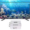 480P Composite AV to VGA Adapter Video Adapter, Converter Auxiliary Input Adapters view 2